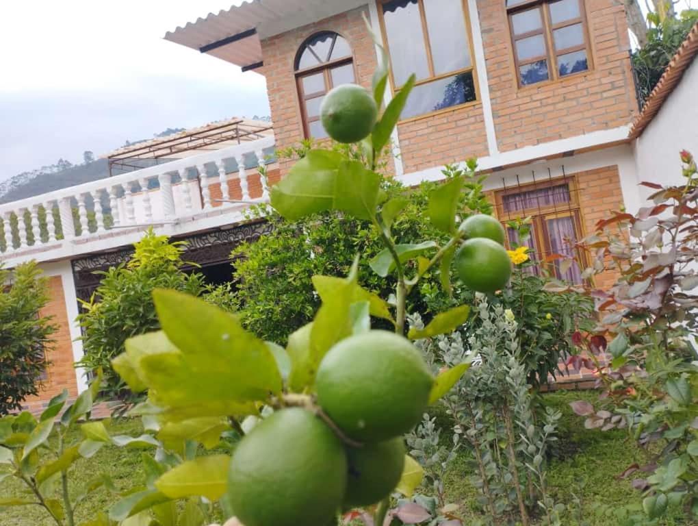 Cabana Las Marias Vila Chinácota Exterior foto